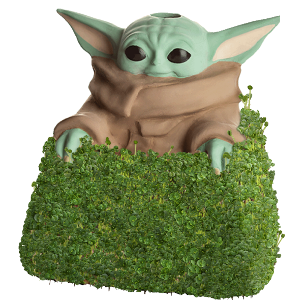 https://www.chia.com/wp-content/uploads/2023/04/B2CCP985-0-NS-Star-Wars-The-Mandalorian-The-Child-in-Mandos-Satchel-Chia-Pet-Growth-sequence-600x600.png