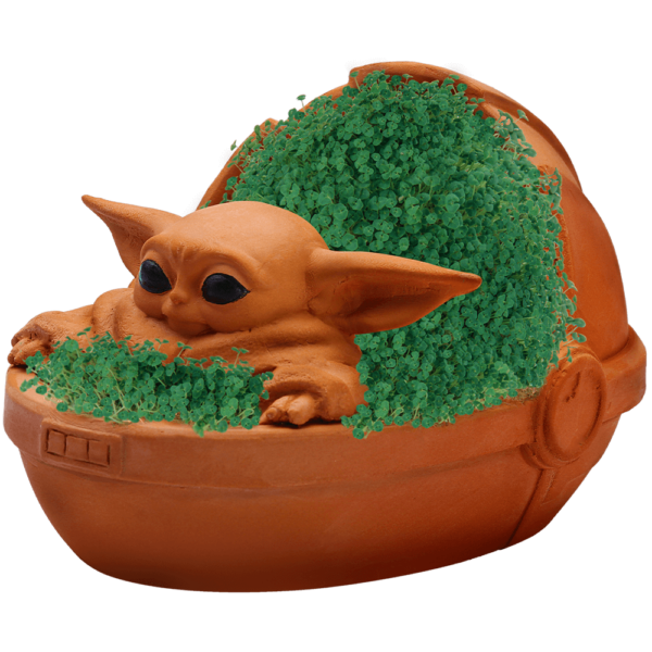 Star Wars™ The Child in Bassinet Chia Pet®