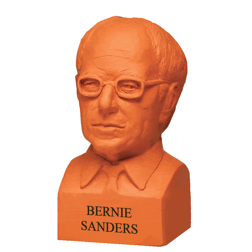 Animation of Bernie Sanders Chia Pet® growing