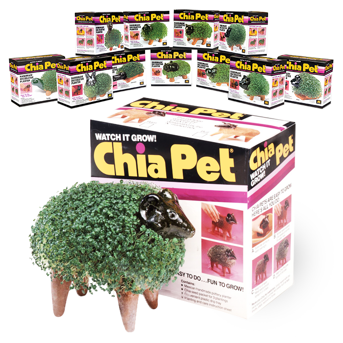 musket media: 2018-07 : First Chia Pet