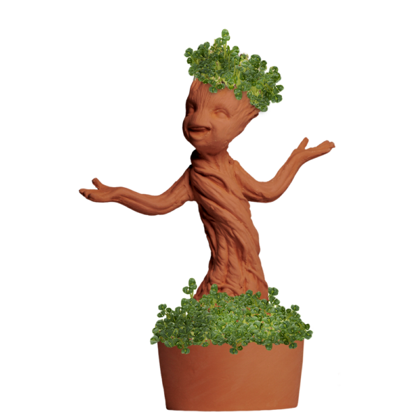 Guardians of the Galaxy Potted Groot Chia Pet®