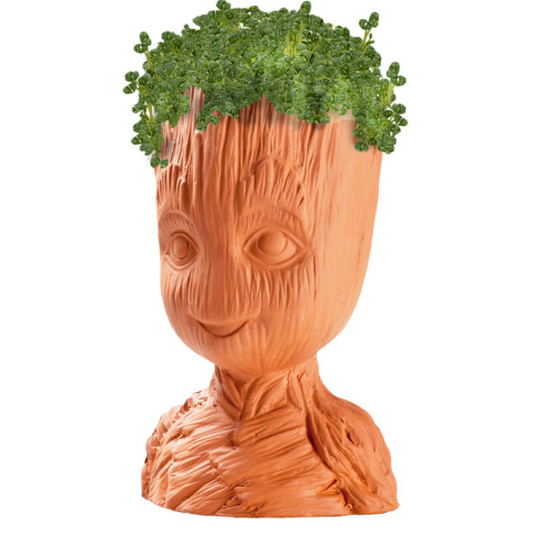 Guardians of the Galaxy Groot Chia Pet®