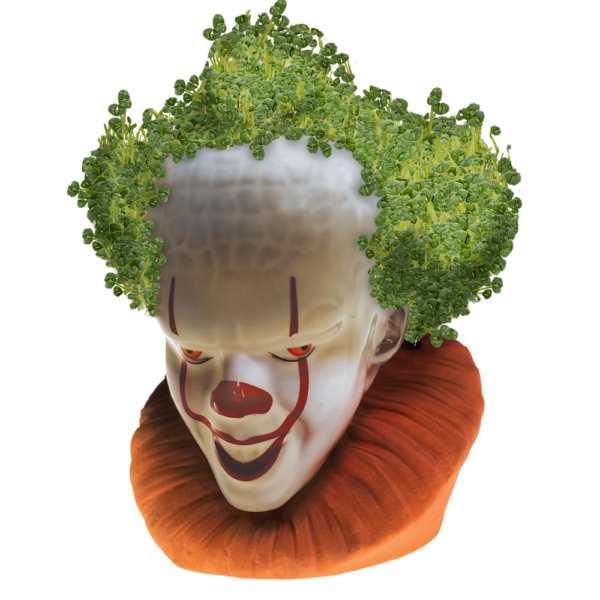 Pennywise the Clown Chia Pet®